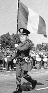 ciampitricolore.gif (33404 byte)